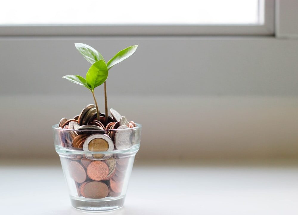 Sparen of beleggen in 2026, zo kiest u de beste strategie