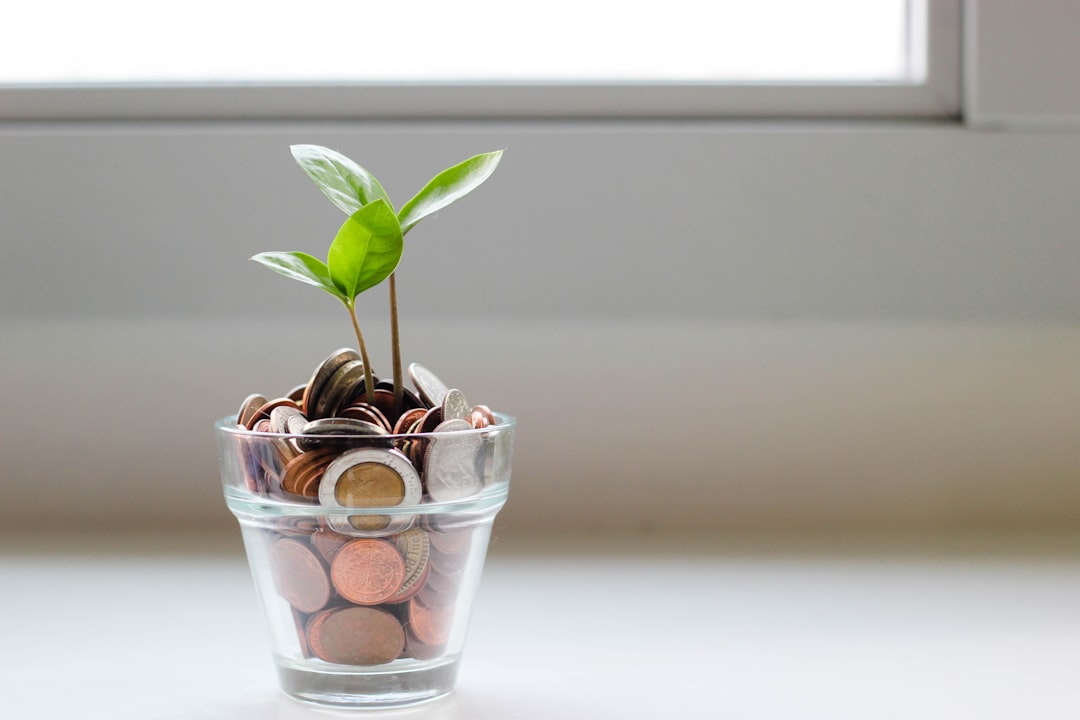 Sparen of beleggen in 2026, zo kiest u de beste strategie